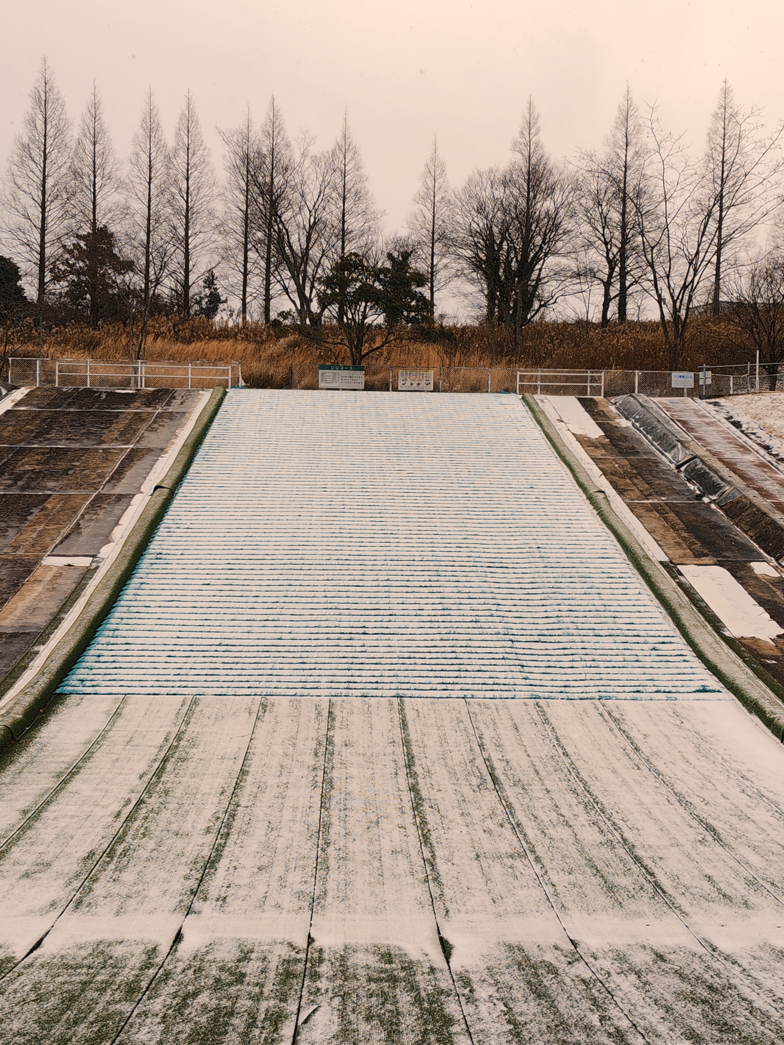 今日のえぼしの雪模様。こんな感じです。