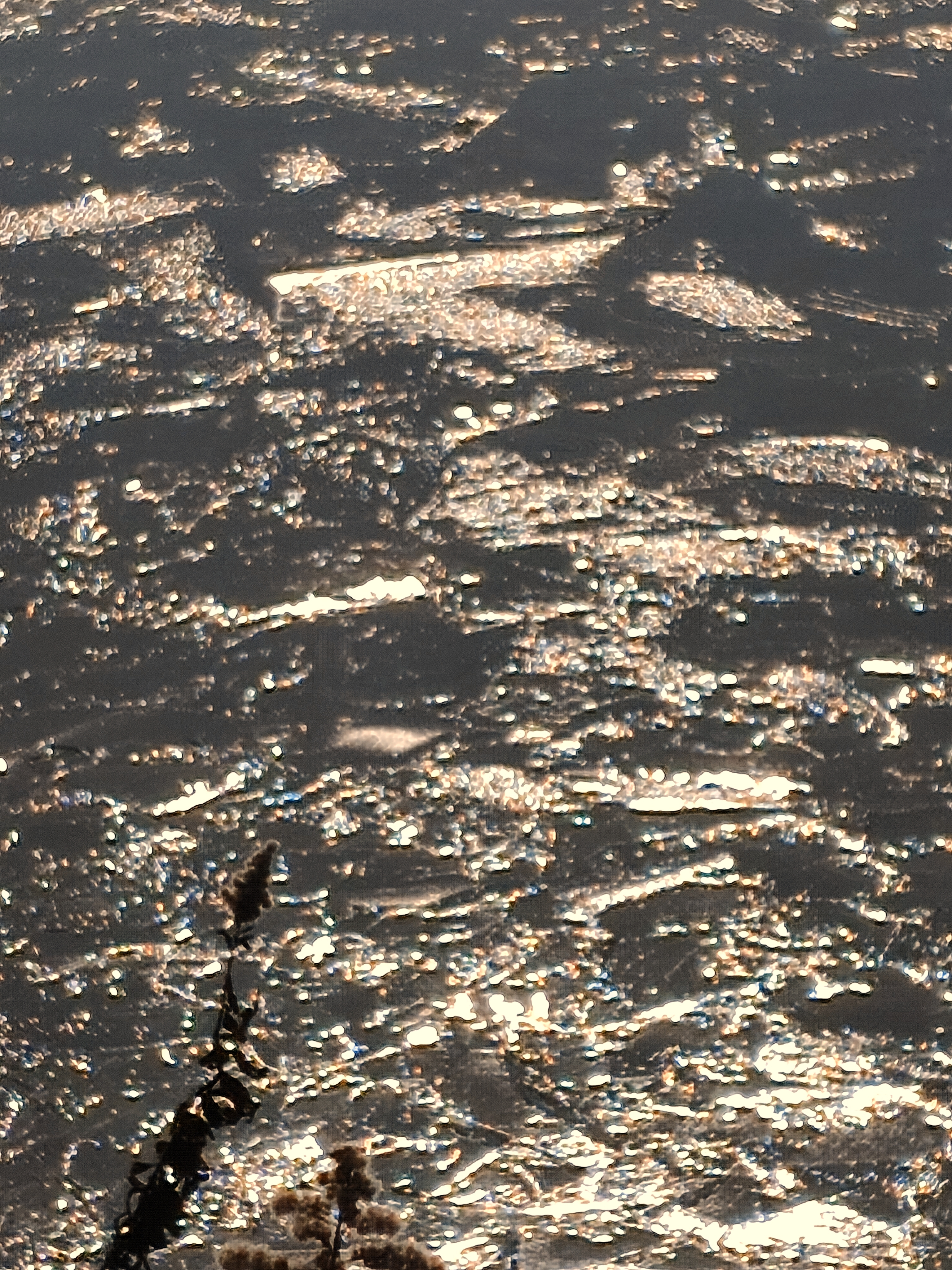 全面氷結!!ゴーカートのでっかい池。